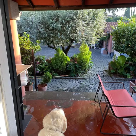 995 #1 Casa vacanze Roma