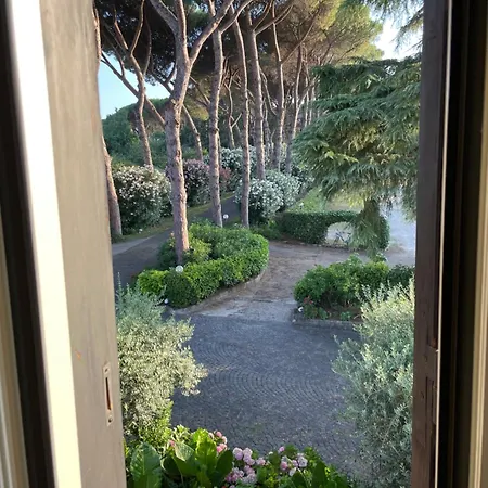 995 #1 * Roma