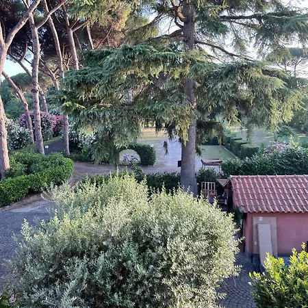 995 #1 Roma